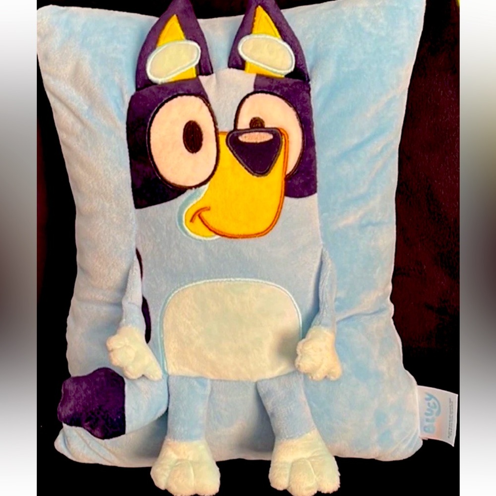 Bluey Character Square Pillow  11”by 14”